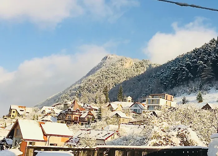 Charming House In Old Town- Private Garden & Bbq *